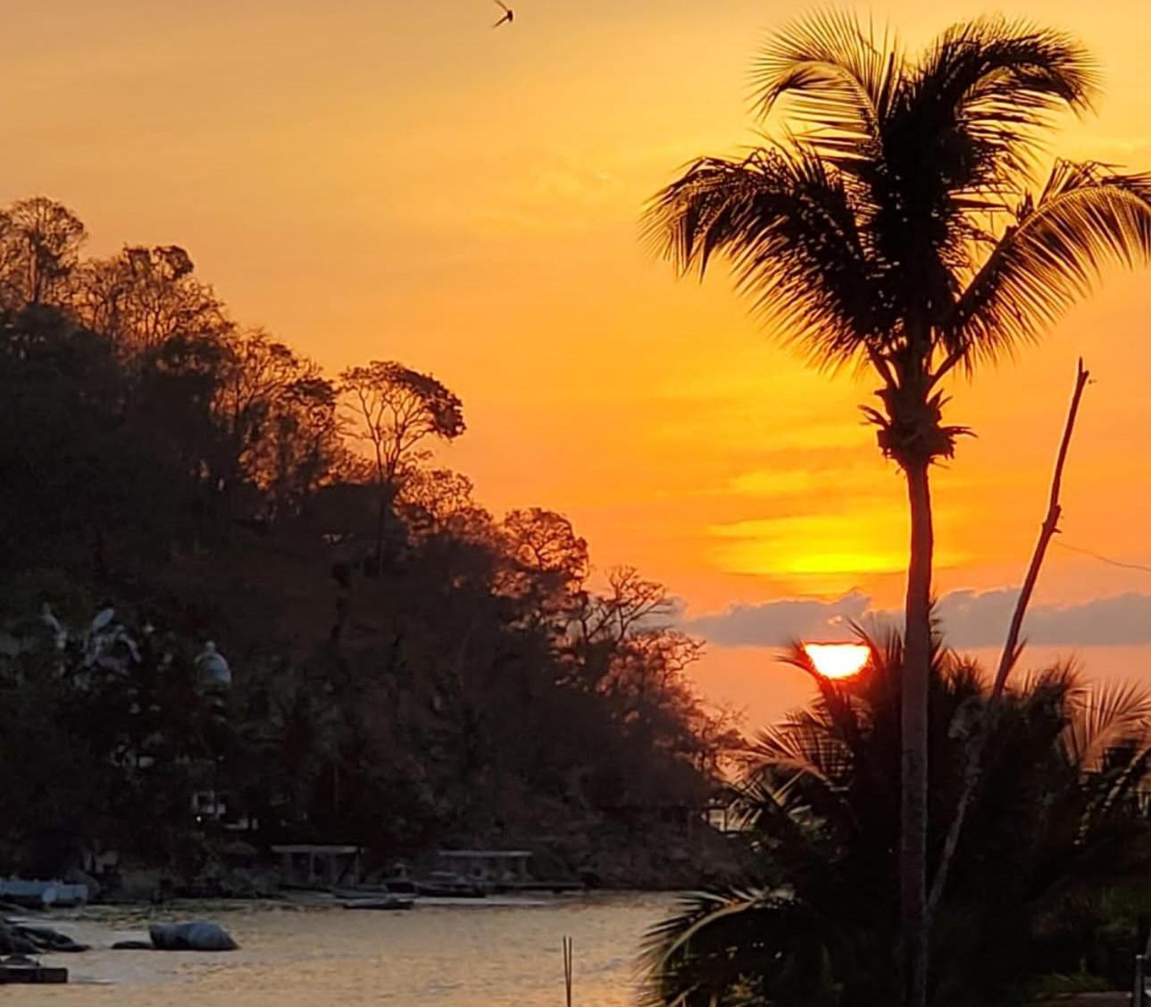 Villa La Sirena Puerto Vallarta Rom bilde