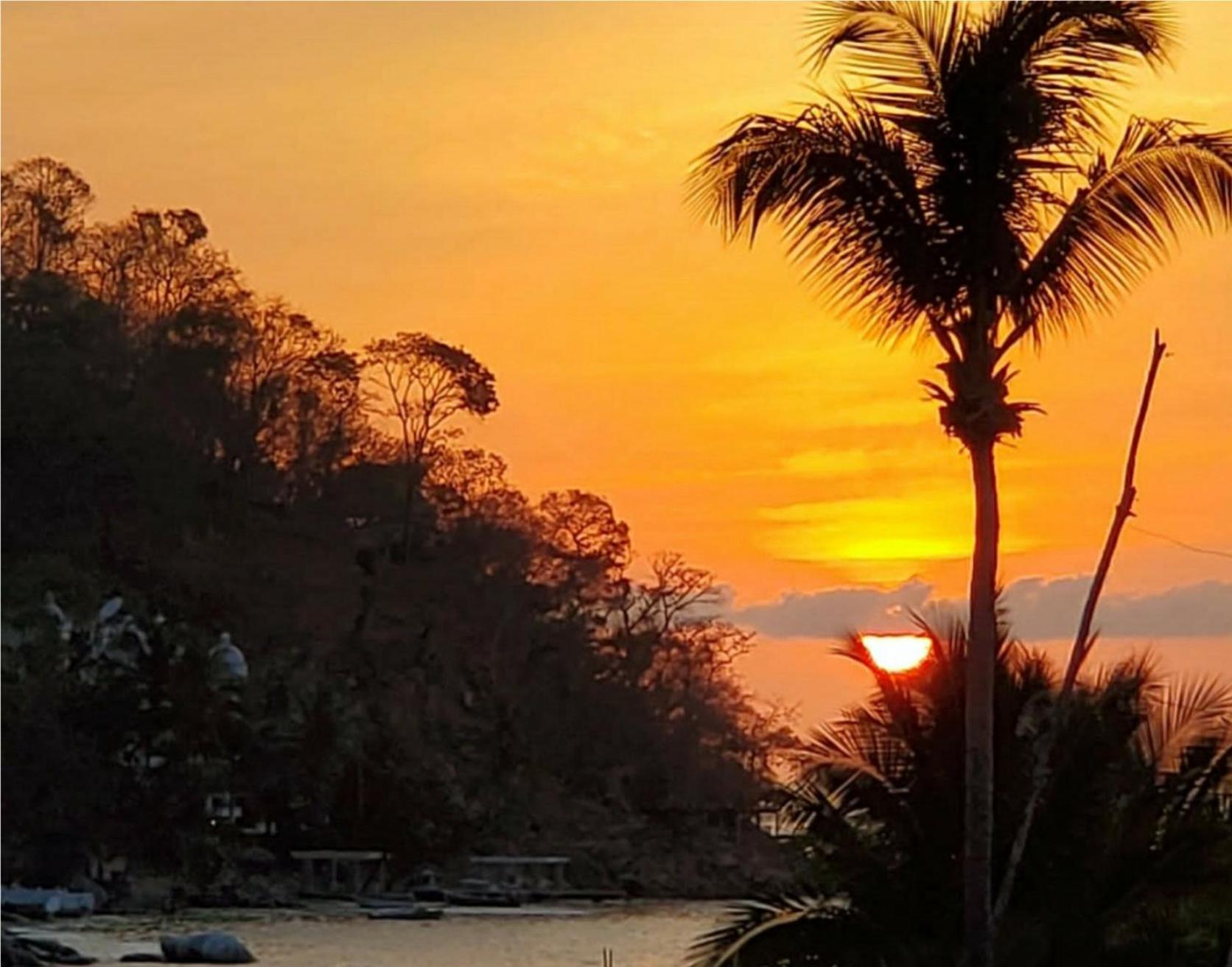 Villa La Sirena Puerto Vallarta Rom bilde